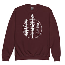 Load image into Gallery viewer, Three Sisters Youth Crewneck Sweatshirt
