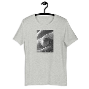 Sand Dollar Short-Sleeve Unisex T-Shirt