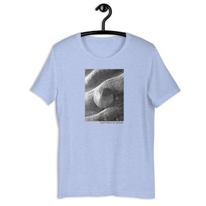 Sand Dollar Short-Sleeve Unisex T-Shirt