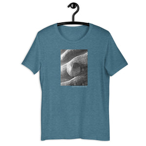 Sand Dollar Short-Sleeve Unisex T-Shirt