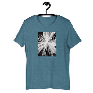 Still Forest Short-Sleeve Unisex T-Shirt