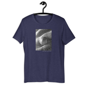 Sand Dollar Short-Sleeve Unisex T-Shirt
