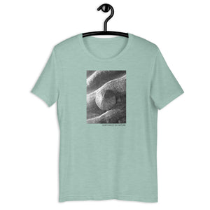 Sand Dollar Short-Sleeve Unisex T-Shirt