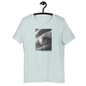 Sand Dollar Short-Sleeve Unisex T-Shirt