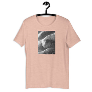 Sand Dollar Short-Sleeve Unisex T-Shirt
