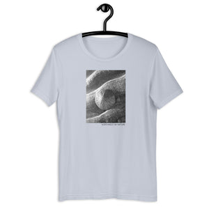 Sand Dollar Short-Sleeve Unisex T-Shirt