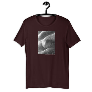 Sand Dollar Short-Sleeve Unisex T-Shirt