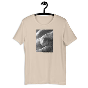 Sand Dollar Short-Sleeve Unisex T-Shirt