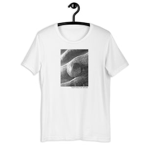 Sand Dollar Short-Sleeve Unisex T-Shirt
