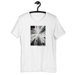 Still Forest Short-Sleeve Unisex T-Shirt